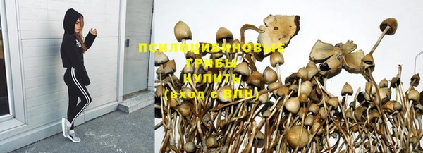хмурый Армянск