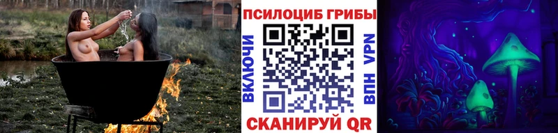Псилоцибиновые грибы Magic Shrooms  Буинск 